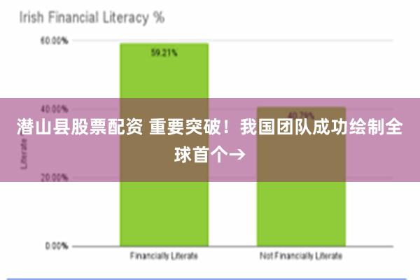 潜山县股票配资 重要突破！我国团队成功绘制全球首个→