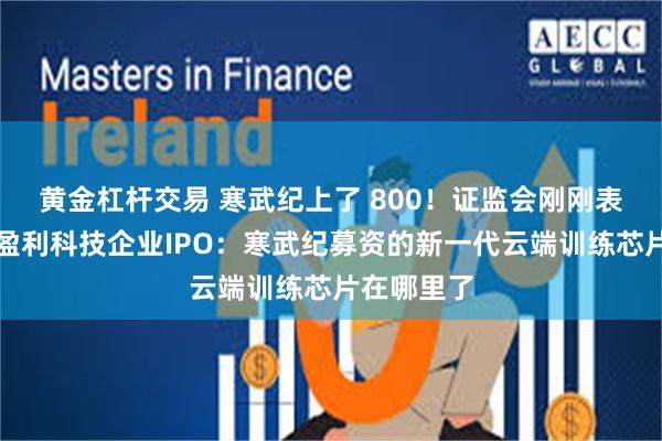 黄金杠杆交易 寒武纪上了 800！证监会刚刚表态支持未盈利科技企业IPO：寒武纪募资的新一代云端训练芯片在哪里了