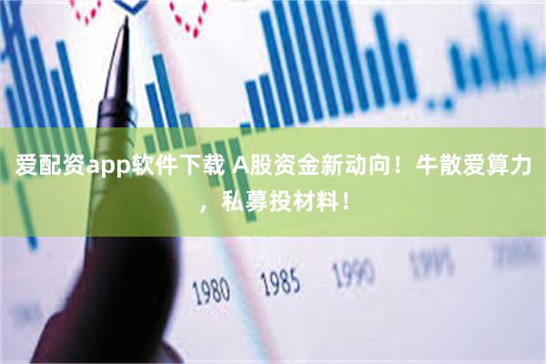 爱配资app软件下载 A股资金新动向！牛散爱算力，私募投材料！