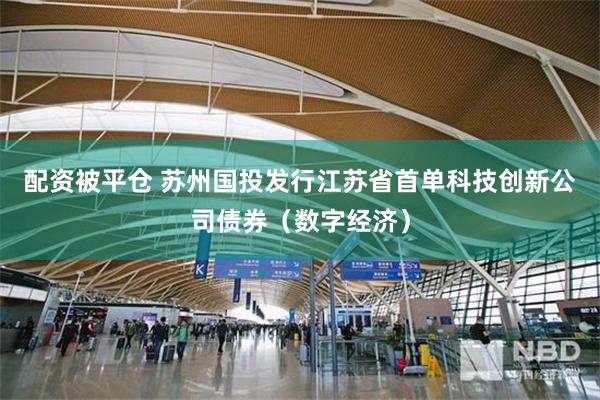 配资被平仓 苏州国投发行江苏省首单科技创新公司债券（数字经济）