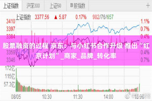 股票融资的过程 京东：与小红书合作升级 推出“红京计划”_商家_品牌_转化率