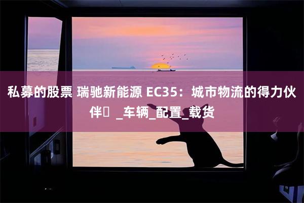 私募的股票 瑞驰新能源 EC35：城市物流的得力伙伴​_车辆_配置_载货