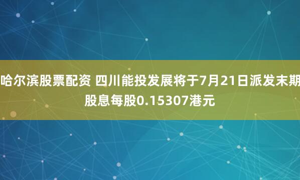 哈尔滨股票配资 四川能投发展将于7月21日派发末期股息每股0.15307港元