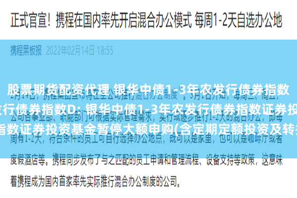 股票期货配资代理 银华中债1-3年农发行债券指数A,银华中债1-3年农发行债券指数D: 银华中债1-3年农发行债券指数证券投资基金暂停大额申购(含定期定额投资及转换转入)业务的公告