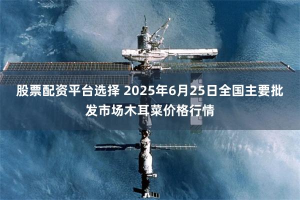 股票配资平台选择 2025年6月25日全国主要批发市场木耳菜价格行情