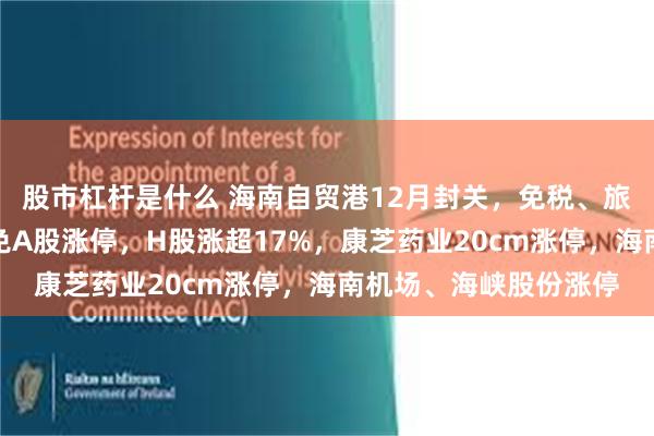 股市杠杆是什么 海南自贸港12月封关，免税、旅游板块大涨，中国中免A股涨停，H股涨超17%，康芝药业20cm涨停，海南机场、海峡股份涨停