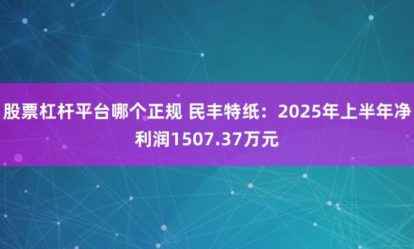 股票杠杆平台哪个正规 民丰特纸：2025年上半年净利润1507.37万元