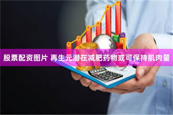 股票配资图片 再生元潜在减肥药物或可保持肌肉量