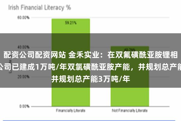 配资公司配资网站 金禾实业：在双氟磺酰亚胺锂相关领域，公司已建成1万吨/年双氯磺酰亚胺产能，并规划总产能3万吨/年